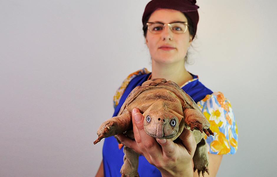 Die Schildkröte hat Geburtstag 6652 (Jesko Döring) Die Schildkröte hat Geburtstag (Jesko Döring)