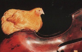 Gruppe 38 : Eine kleine Sonate