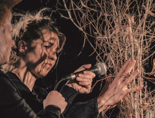 Dinge der (Un)möglichkeit