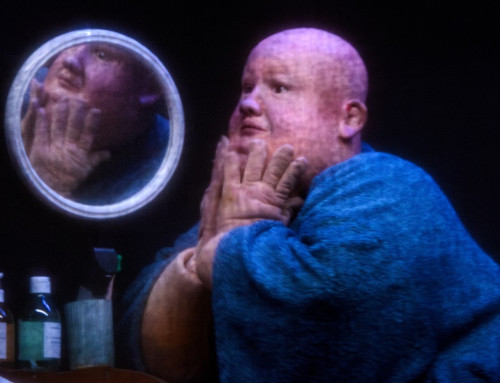 Boîte crânienne (dt.: Schädel)