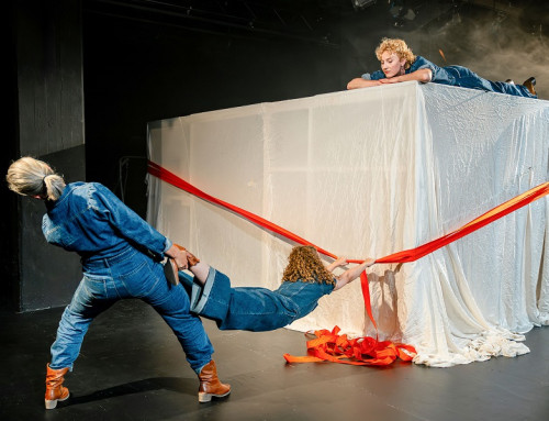 Und über uns der große Wagen