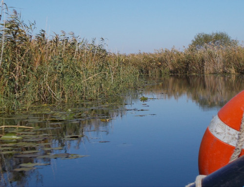 Wohin die Elbe fließt